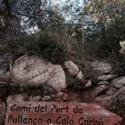 walk cala san vicente port pollensa