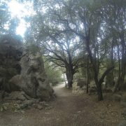 walk from pollensa to lluc